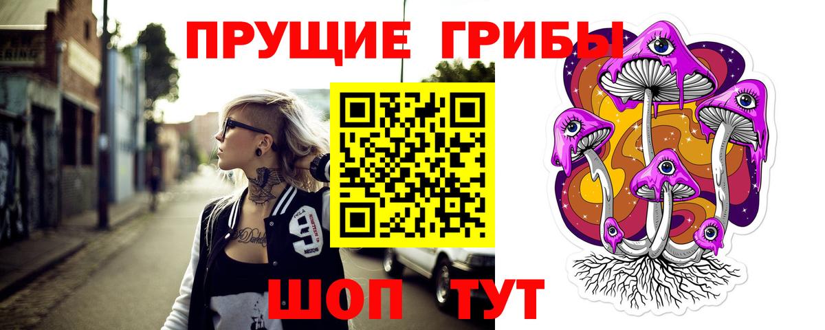 Артём  Галлюциногенные грибы Psilocybe  Вход с VPN 