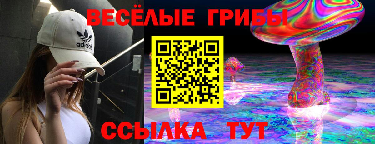 Псилоцибиновые грибы Psilocybe Артём